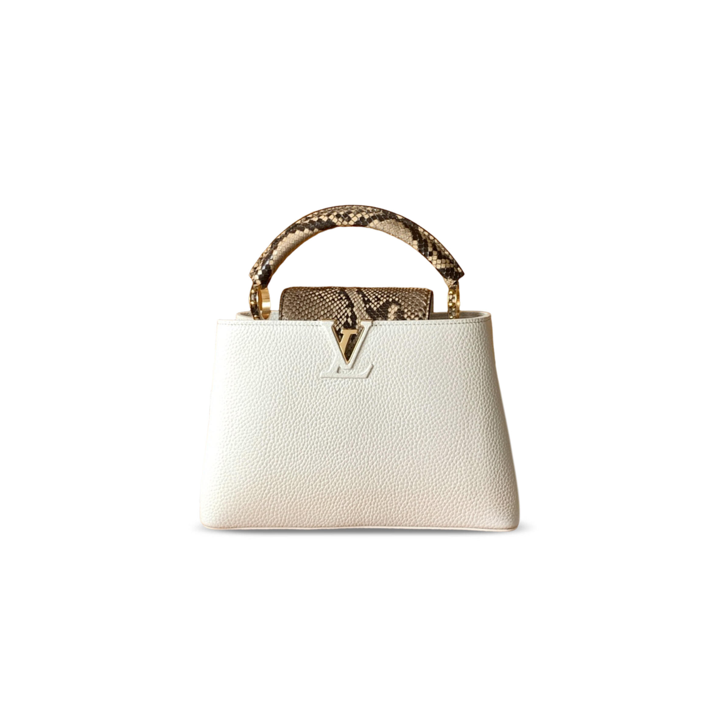 LOUIS VUITTON MASTER CAPUCINES BB M81408 (27*18*9cm)